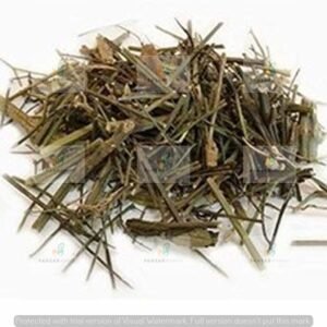 چراعیتہ تلخ نیپالی / Chiraita Talkh Nepali